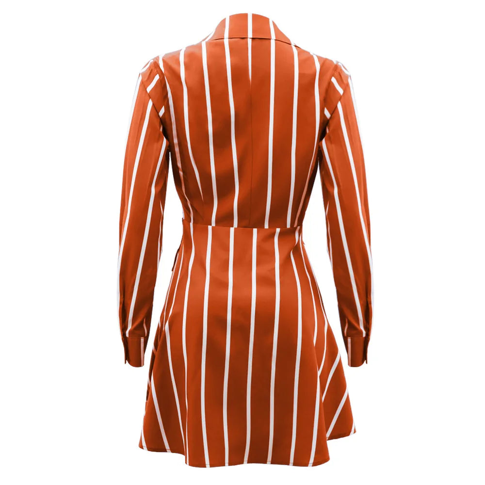 Polo Neck Striped Button Print Dress.