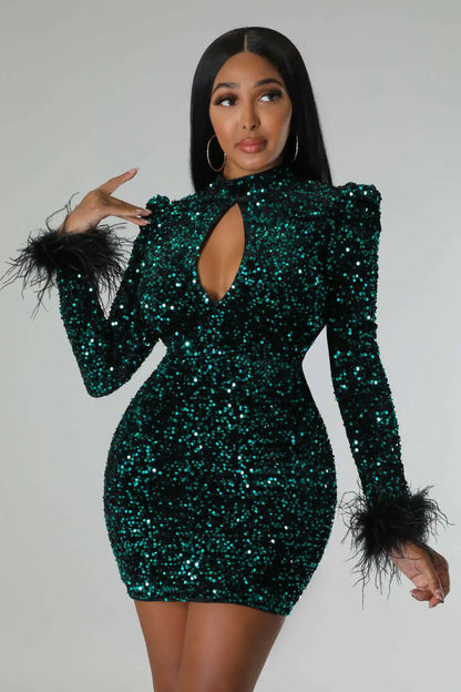 Sequins Lantern Sleeve Mini Dress.