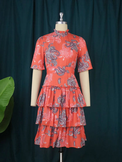 Women Printed Cake Dress.