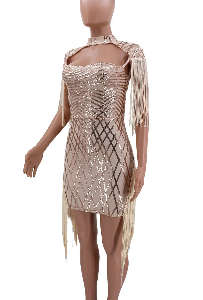 Sexy Mini Mesh Sequins Dress.