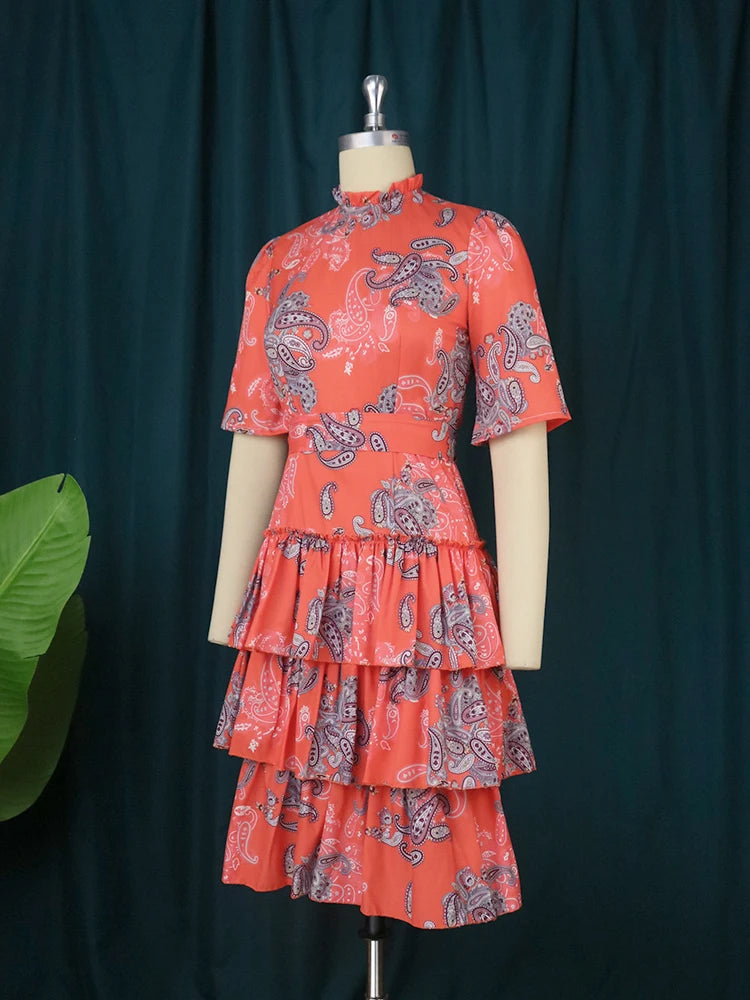 Women Printed Cake Dress.